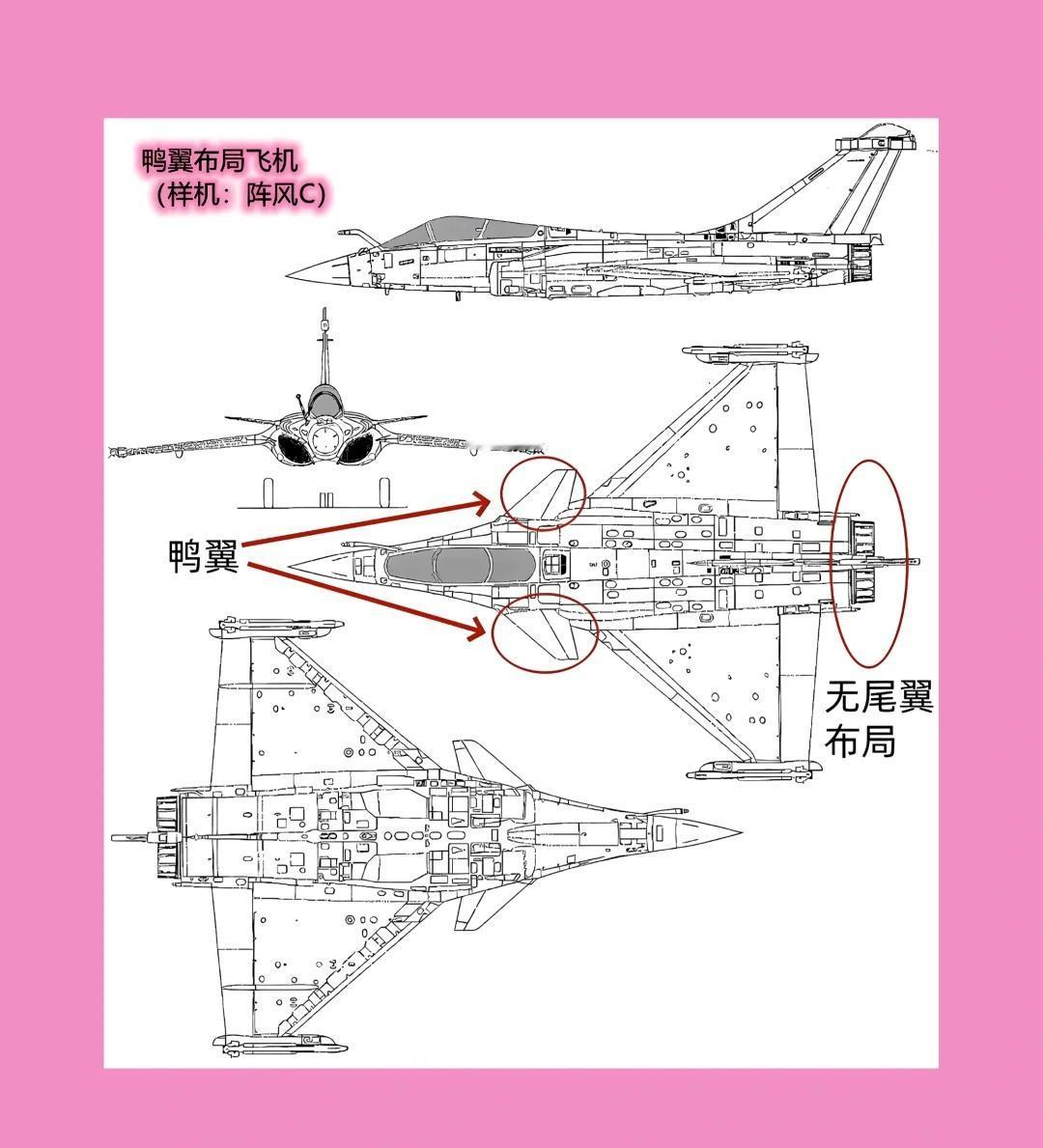 为什么鸭翼如此不受待见？也是有道理的！所谓「鸭翼布局」，是指将鸭翼（前翼）布置