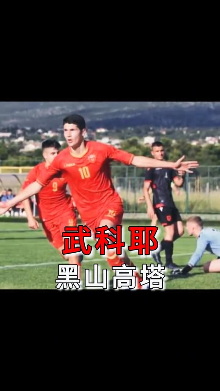 哪位国米青训球员是你心目中的最有潜力球员？·博维奥，预备队第一中卫。·杰齐，