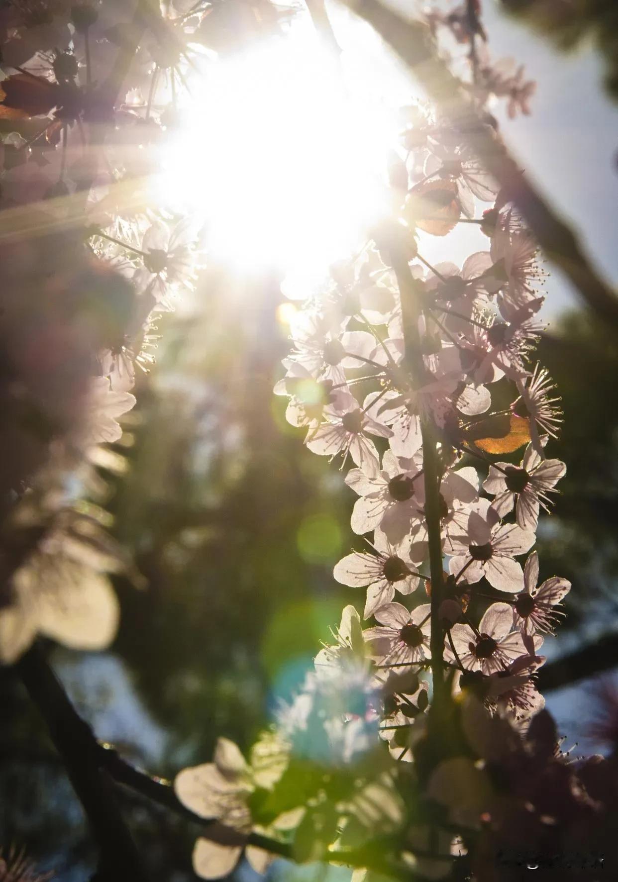 认知越高，人越冷漠，这里的冷漠不是无情冷血，而是清晰的边界，划出你是你，我是我的