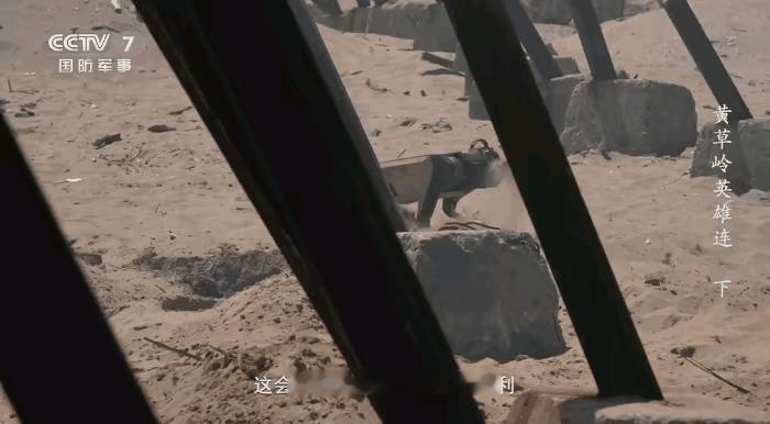 无人机器狼在滩头开辟道路，被负责防守的“蓝军”一枪撂倒，这是央视公开报道的画面。