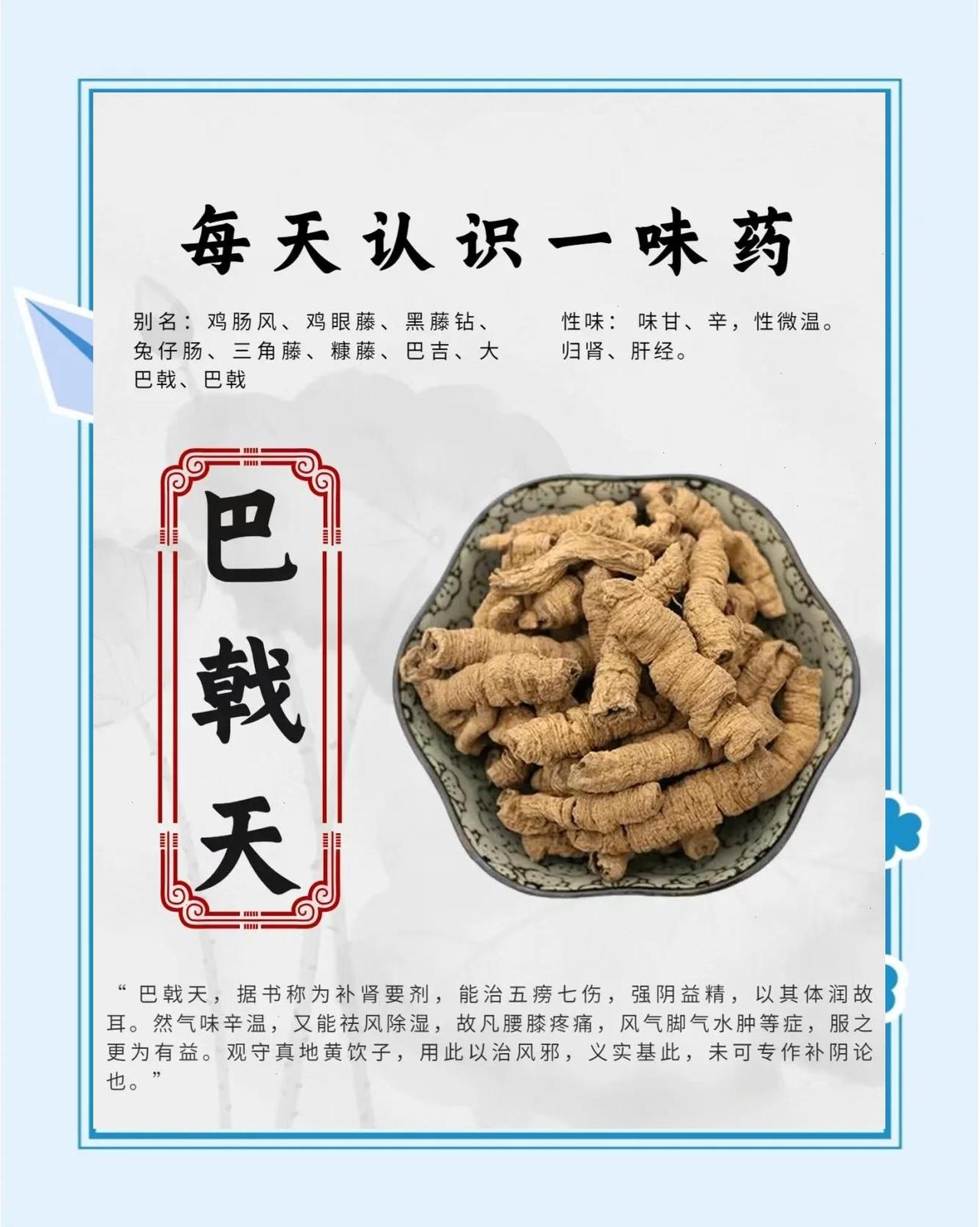一味巴戟天，通开多年前列腺增生花甲老人常诉苦：一夜起夜七八趟，尿线细如棉线，