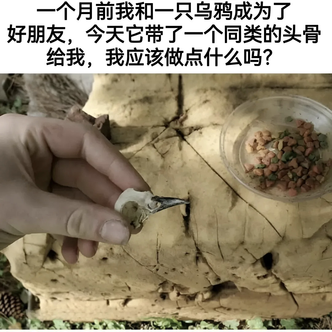 人情世故这一块