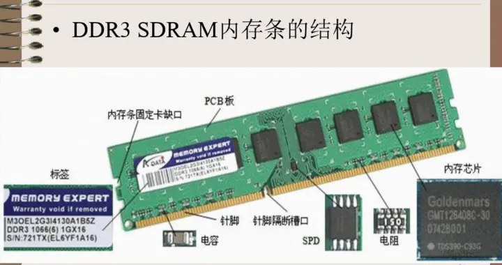 荐知|长鑫拒给苹果降价, 一根内存条凭什么硬气