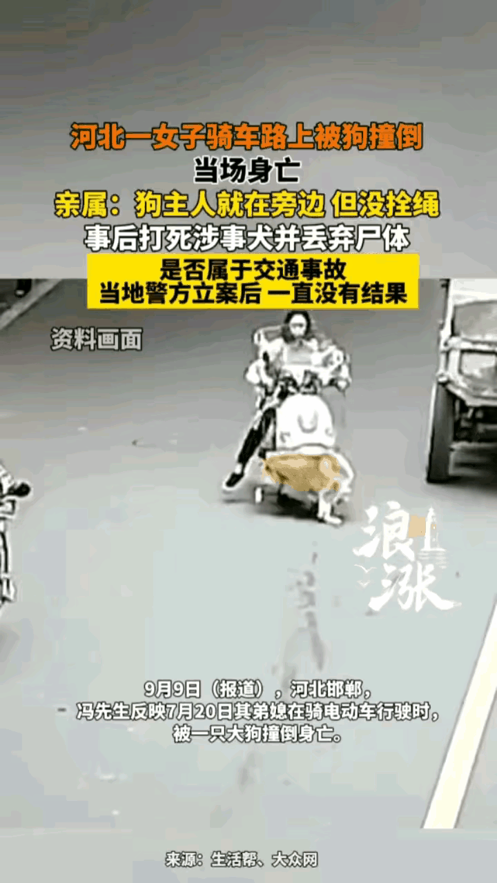 “如果当时牵着绳子就不会发生这样的悲剧”，9月9日，四川眉山一名女生骑车时被一条