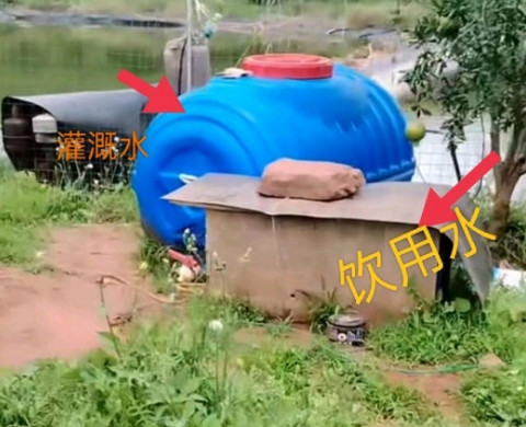 四川凉山，女子从监控里发现，邻居往他们家的水缸里倾倒了不明液体，吓得女子不敢使用