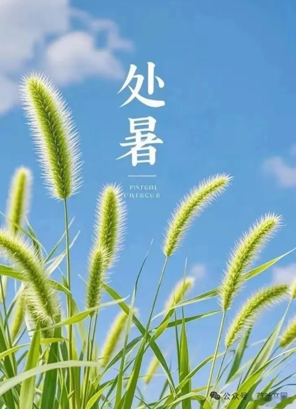 究竟爱一个人，可以爱到什么地步？究竟什么样的邂逅，可以舍命不悔？逻辑的尽头，不是