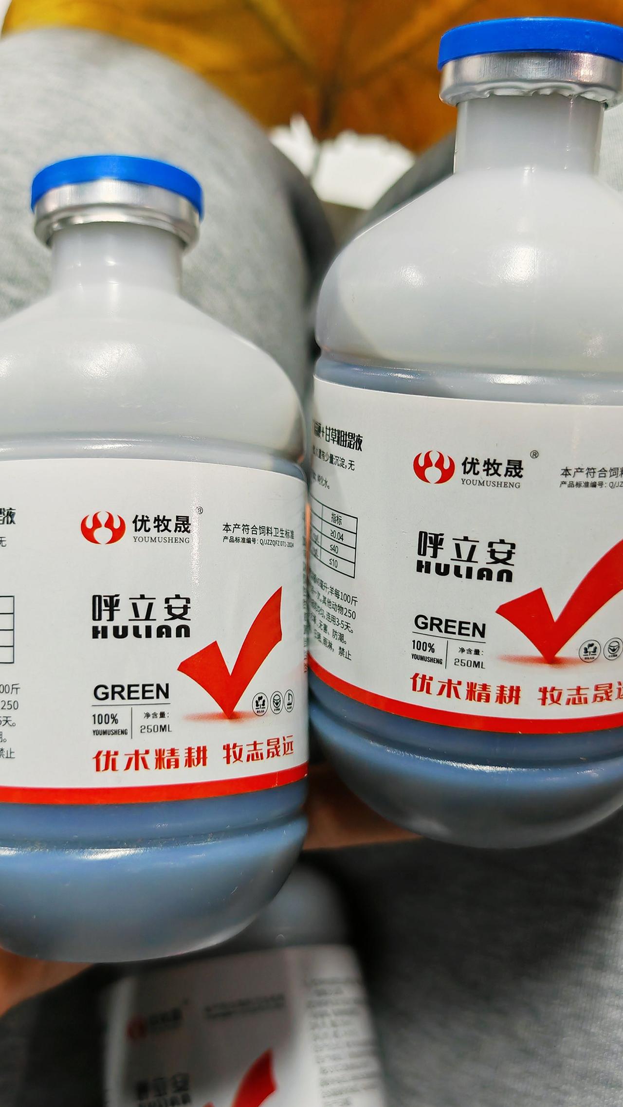 养羊人农村养羊牛羊咳嗽