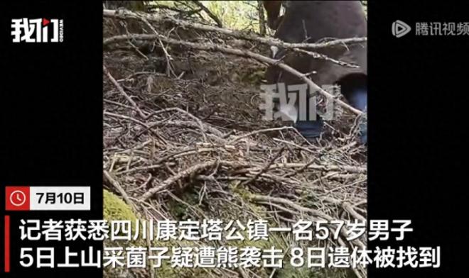 太惨了，人是找到了，整整三天三夜。遗体是完整的，但全是被咬的伤。法医说，是活活失