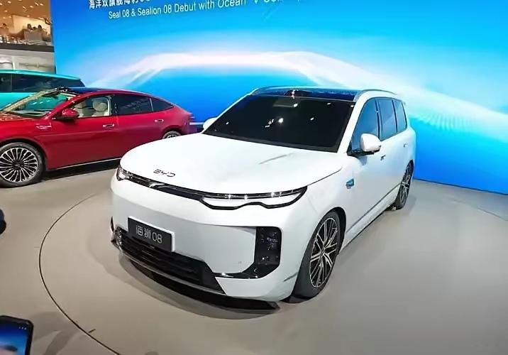 2026上半年中国新能源车品牌销量TOP6：1. 
