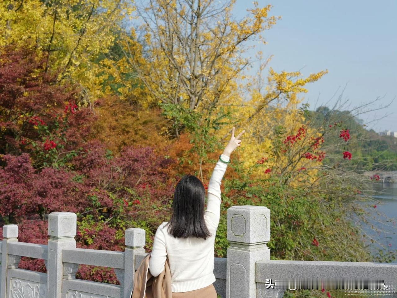 发现没？生活里总有一类女人，说话直来直去，从来不爱拐弯抹角，有一说一有二说二，最