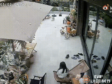 女孩正躺在躺椅上玩手机，小狗突然跑过来撒娇，她起身去抱，刚离开几秒钟，一块木头就