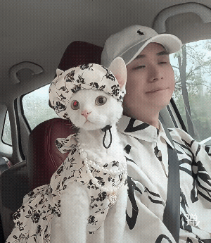 德文衣服在那里买呀？[大笑]