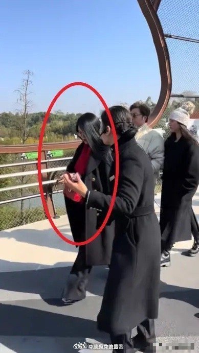 终于理解了李湘为什么每天都是披衣服了。​​​