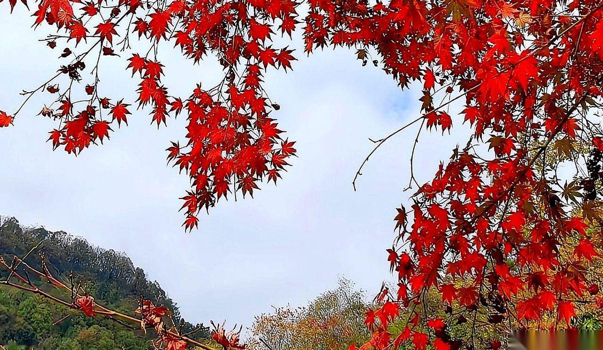 看到有人说，“一个国自然面上，等价一千万横向”。我差点没把手机摔了。开什么玩