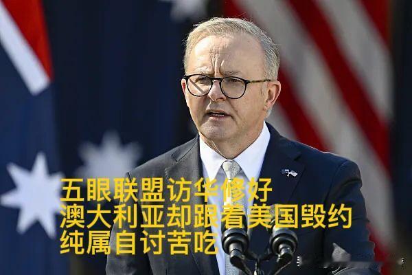 五眼联盟都在访华修好，澳却跟风美国毁约，纯属自讨苦吃澳大利亚总理阿尔巴尼斯近