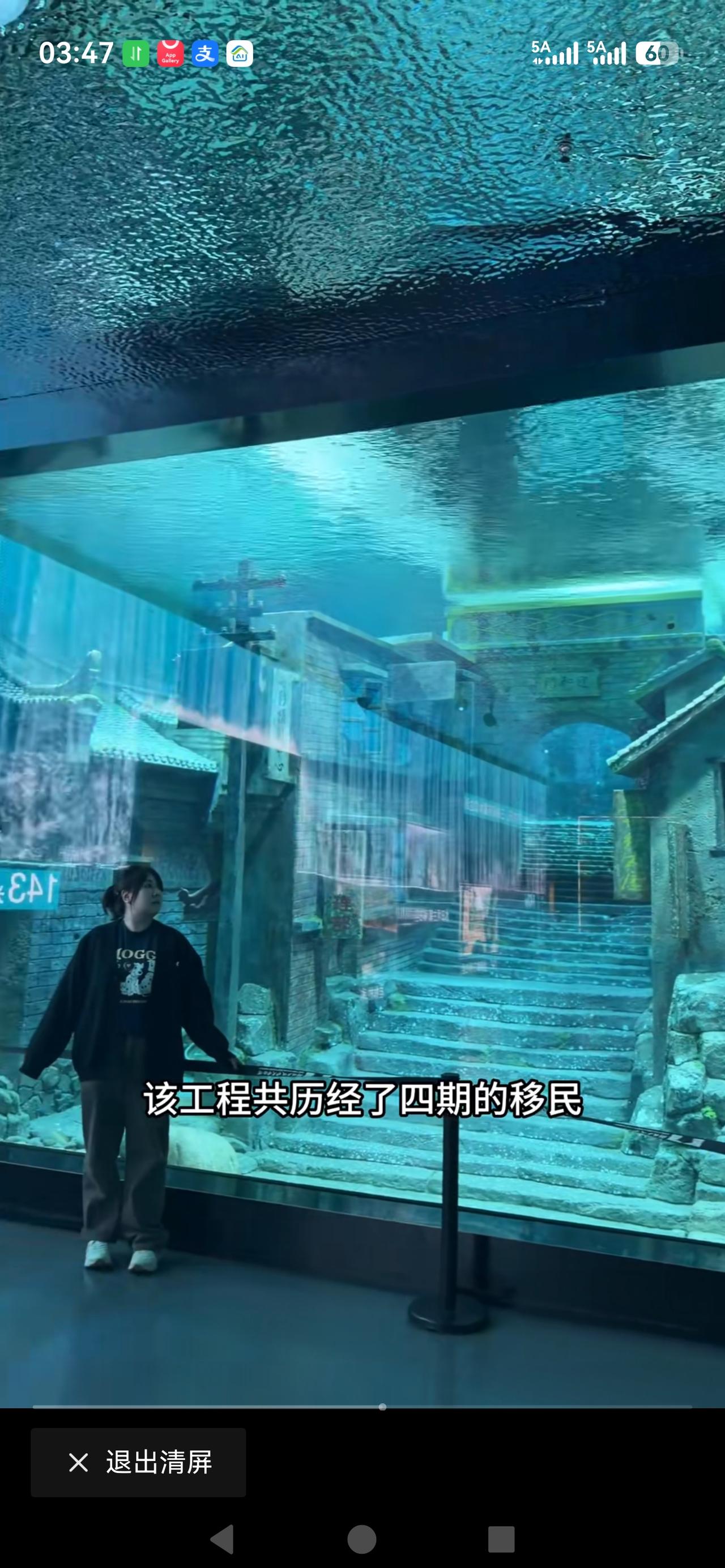 三峡移民[赞]