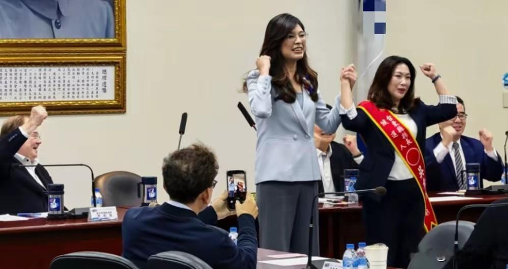 郑丽文终于可以松口气了！卢秀燕心里犯“嘀咕”，江启臣梦碎了。在过去的近两个月时间