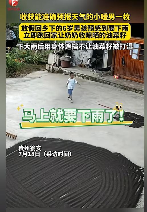 “完全没法解释！”7月18日贵州，6岁男孩正在院子玩，突然大叫着跑向奶奶，让奶奶