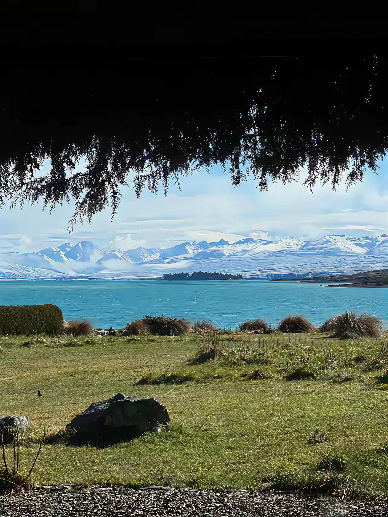 警惕SPA陷阱！探店博主揭秘技师“温柔骗局”，一个月工资轻松被榨干