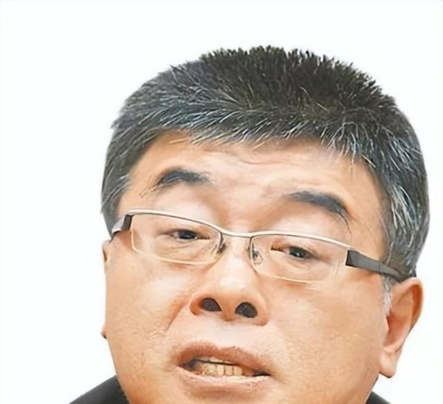 李敖之子李勘曾直言：大陆网民误以为邱毅在台湾很有影响力！真实情况让人大