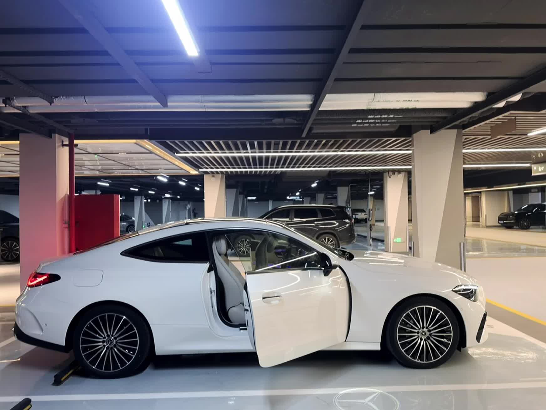 终于接回家了，我那美丽的德国女孩