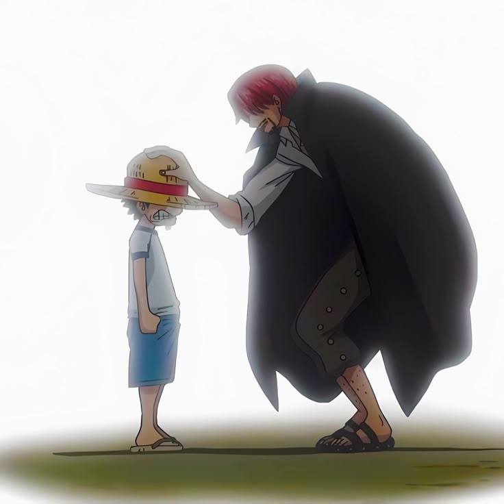 海贼王海贼王阿姨洗铁路！