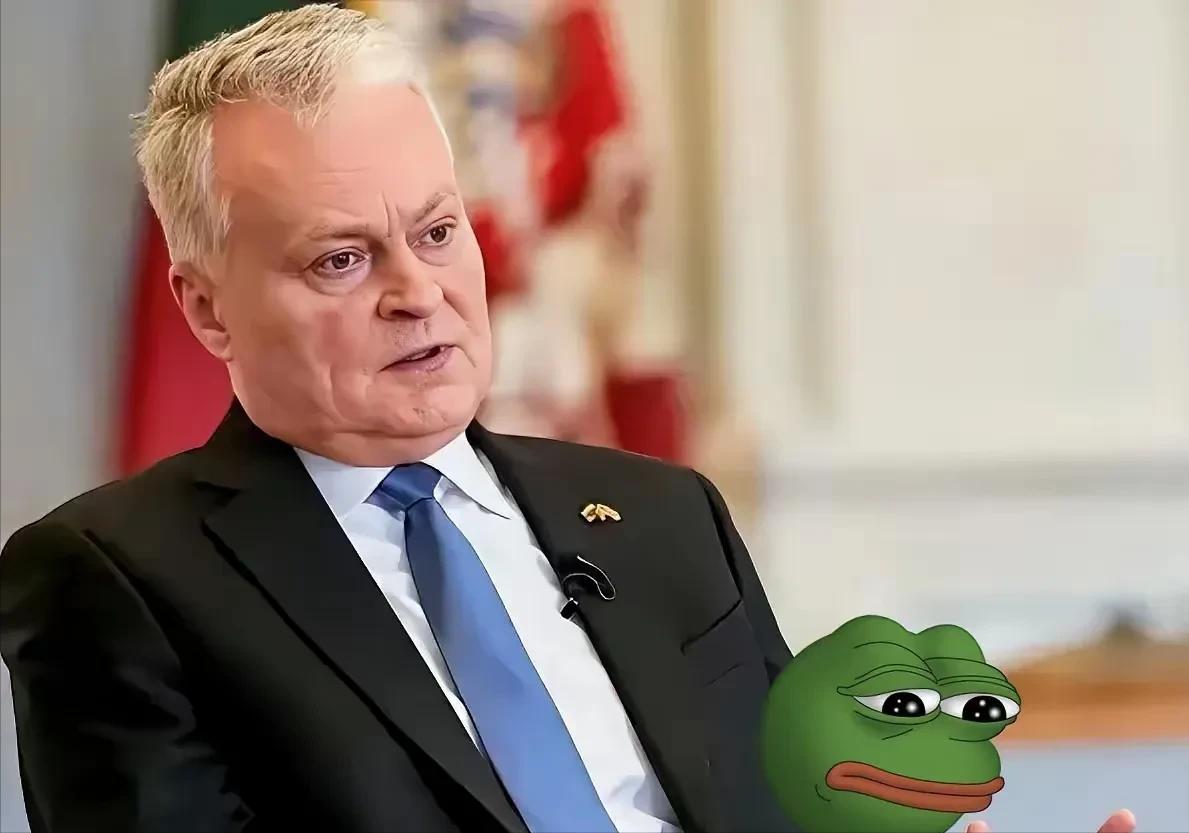 立陶宛终于感到了疼，就在昨天，立陶宛总统说了这样一段话！ 2月4日，立陶宛总