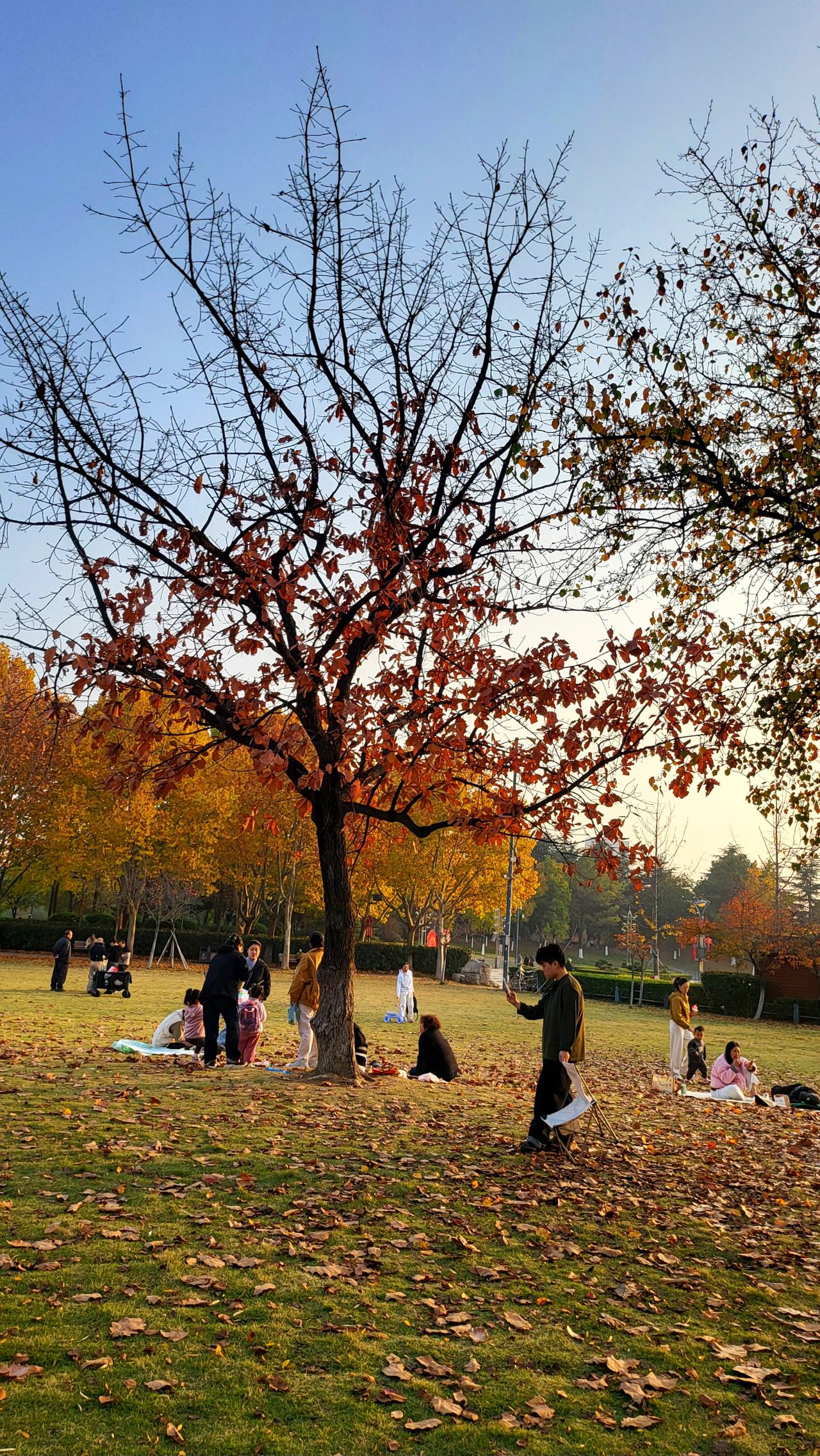 为什么越长大越不想过年不知道你们有没有发现，年纪越大，越没那么盼着过年了。