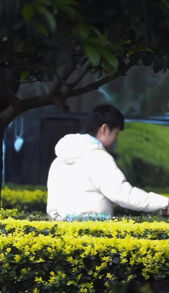 大家都在说何卓佳去接孙颖莎，还帮着拿行李，姐妹情深真好。好是好，但这背后，是一