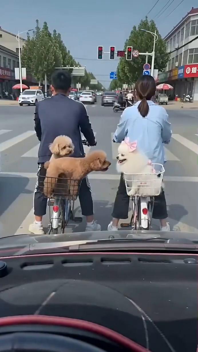 哈哈哈哈哈。
