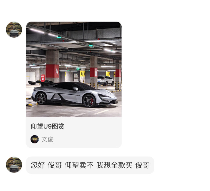 统一回复：我首页置顶的那辆仰望U9，不卖。  因为U9就不是我的。 ​​​​