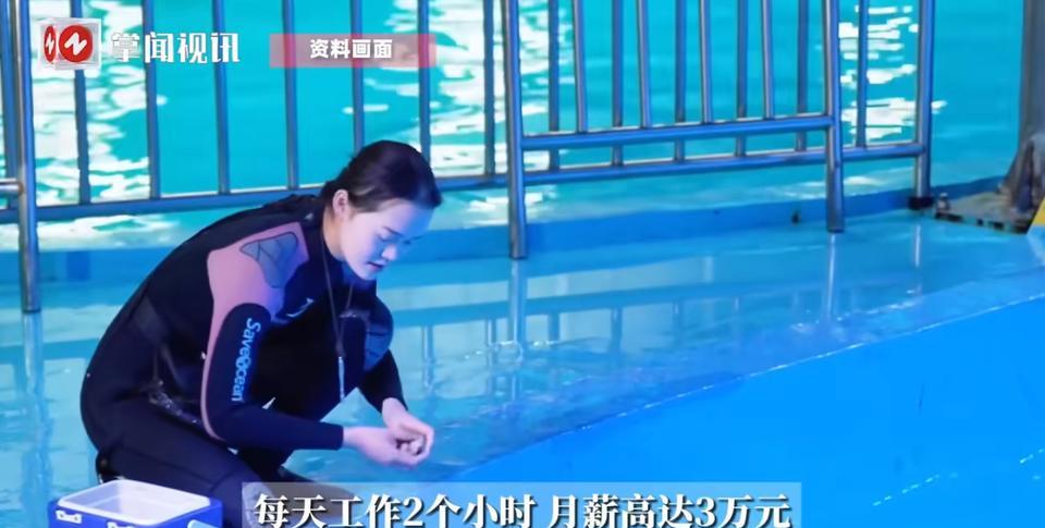 “这和捡钱有什么区别！”河南郑州，一家海洋馆的员工一天工作2个小时，就能收入10