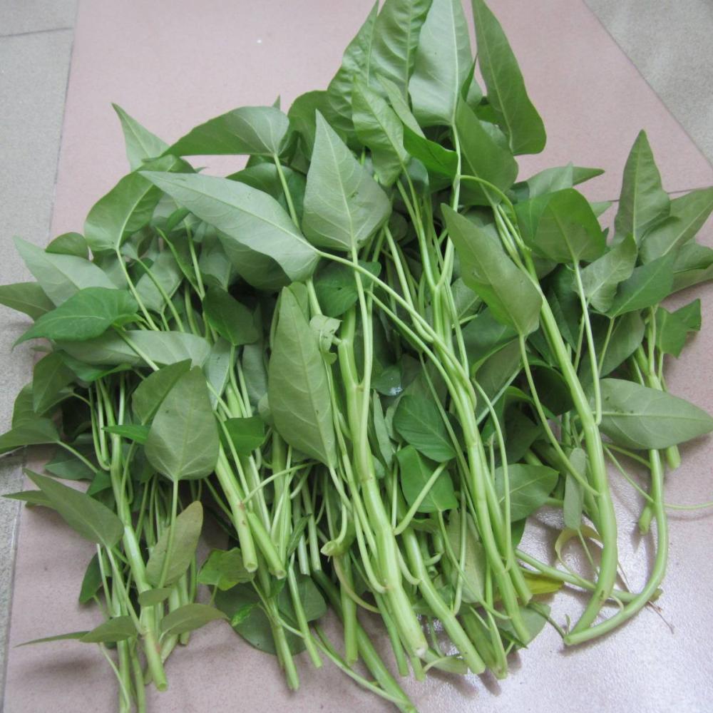 这种食物通便解毒改善视力, 你知道吗?