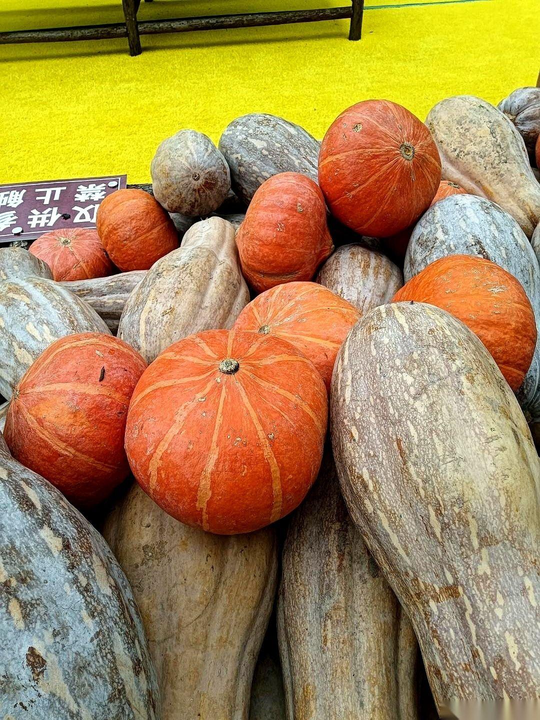 “卡里存了大几万，低保资格得取消，钱还得扣留处理！”当这句通知砸下来的时候，村头