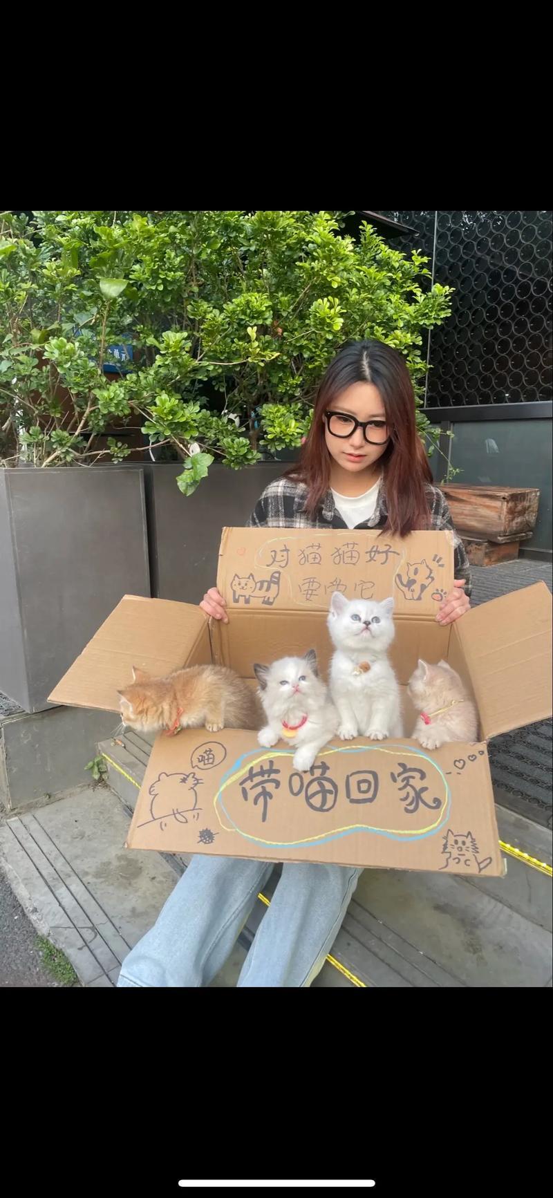 北漂女生今年春节选择留在北京，不回老家过年，主动帮邻居、朋友上门喂猫、照顾宠物。