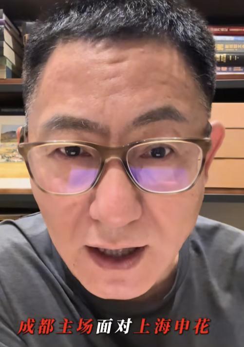 解说员李欣表示成都蓉城与上海申花的比赛，他更看好成都蓉城获胜。李欣感觉杨明洋的