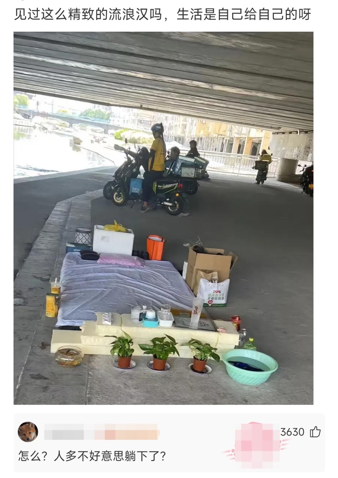 生活是自己给自己的