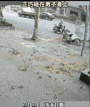 这就是命！男子骑车正常赶路，路过一棵树时竟被突然断裂的树枝砸中，