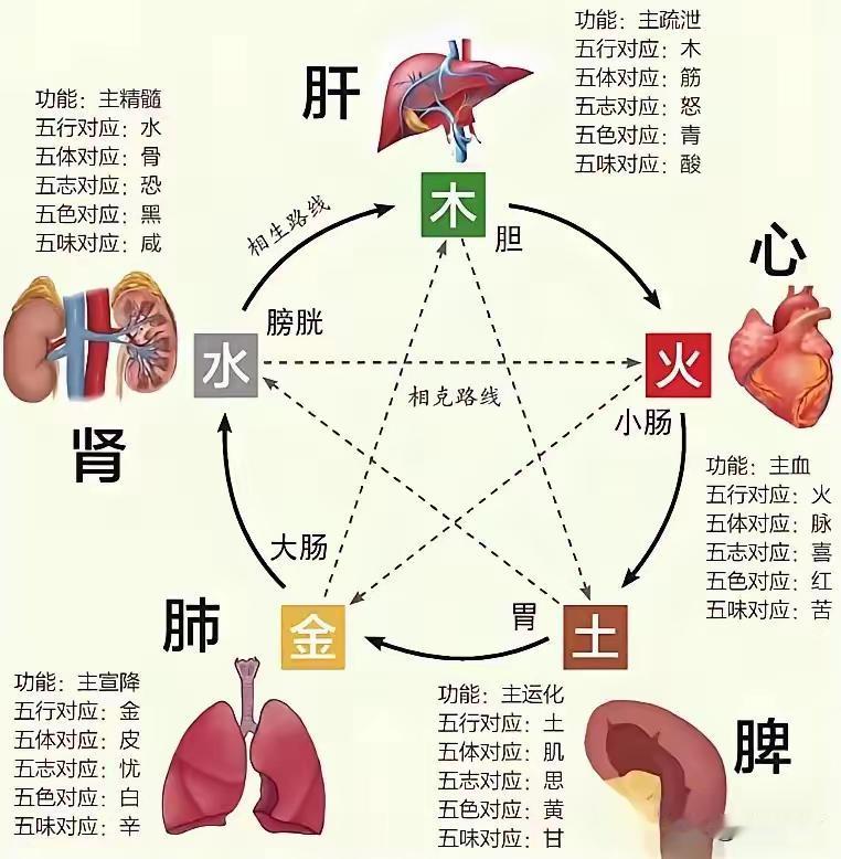 健康小常识：很多人认为中药治病全靠化学成分，这确实是一个普遍的对中药治病的误解。
