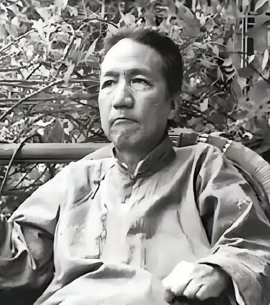 1941年，几个日本兵闯入一位中国老人家中，双目失明的老人用流利的日语icon厉