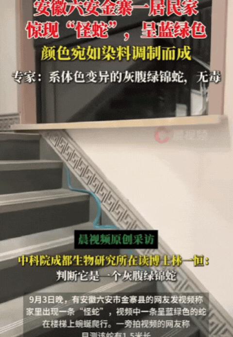 9月3日，安徽，女子在家打扫卫生，突然发现楼梯处有一根蓝色软管，她刚准备