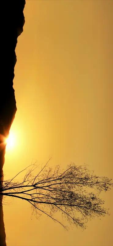 浙江杭州的小姚真是有苦说不出。今年初，在父母帮忙下，她全款1800万买下中海