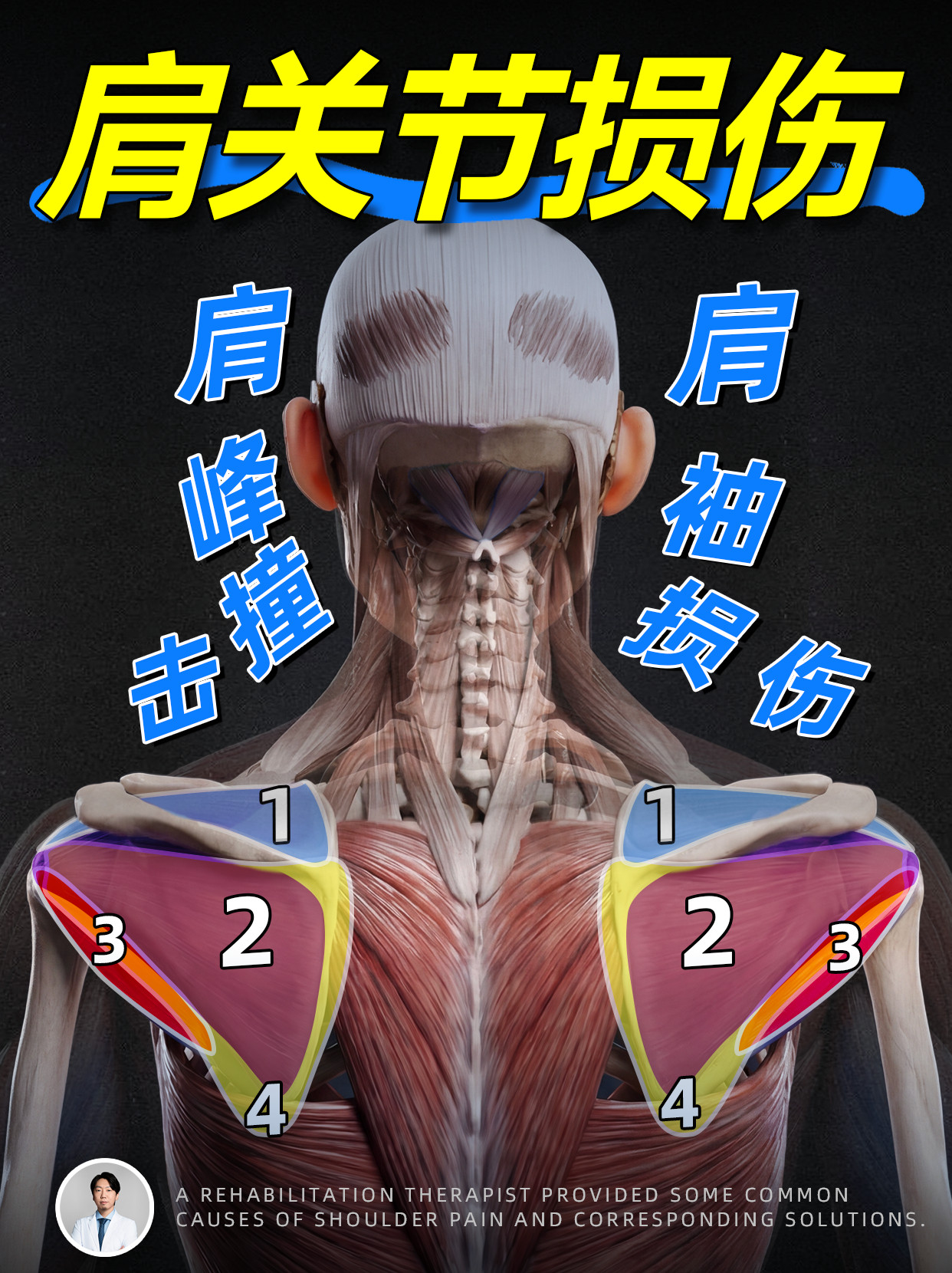 来来来，封面2选1，你们觉得哪个更吸引你？