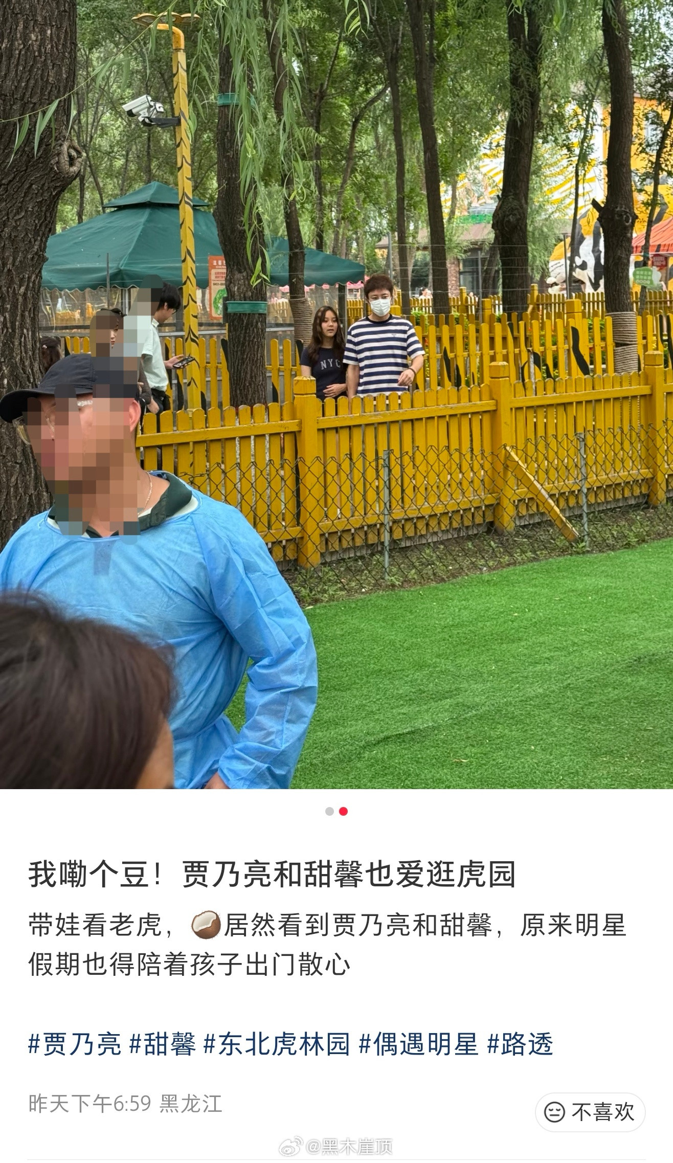 贾乃亮陪甜馨逛虎园网友说带娃看老虎，居然看到贾乃亮和甜馨，原来明星假期也得陪着