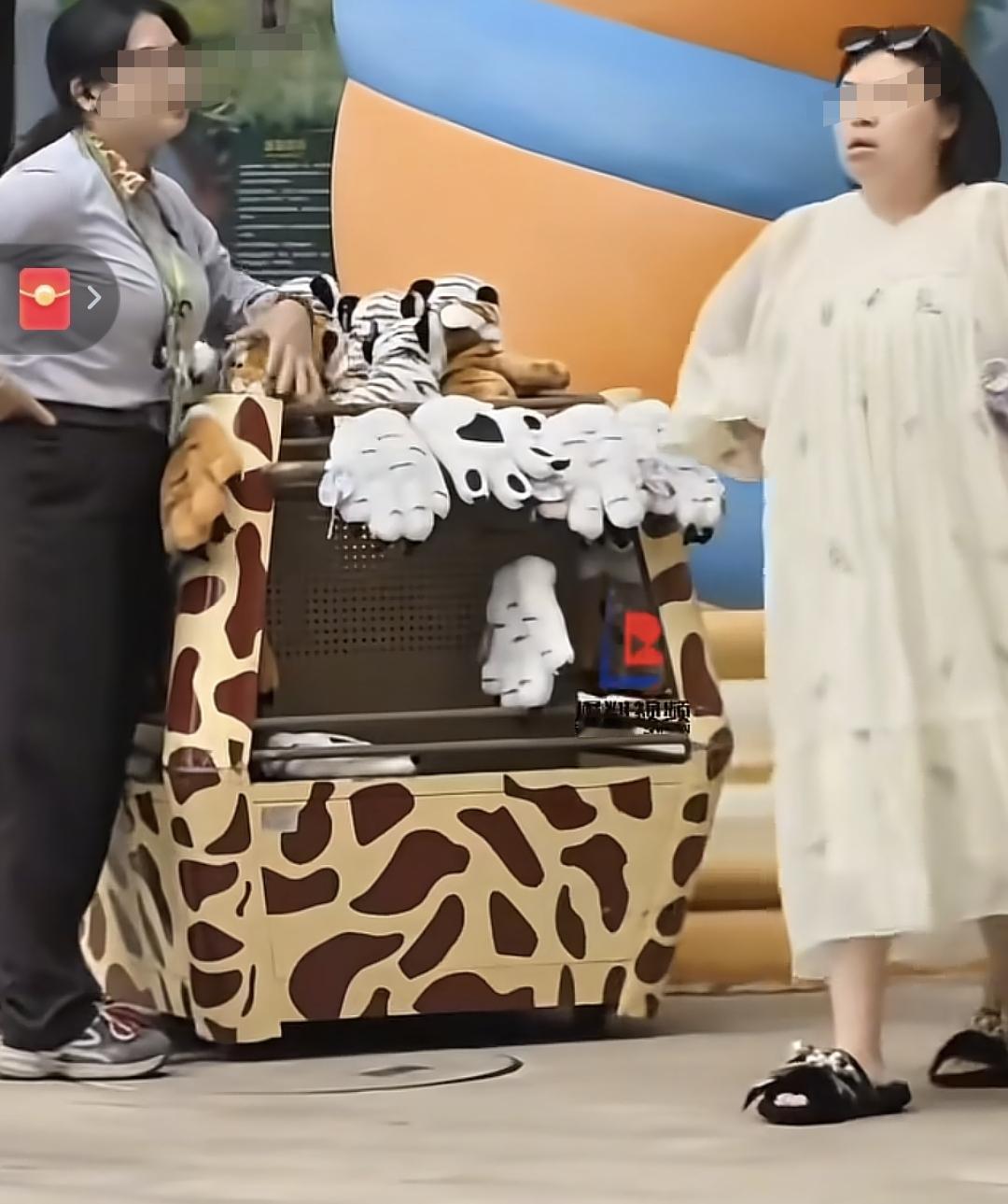 大闹广州长隆野生动物世界的女子后续又是一个典型的“傅氏面容”气血挺旺，叉腰表