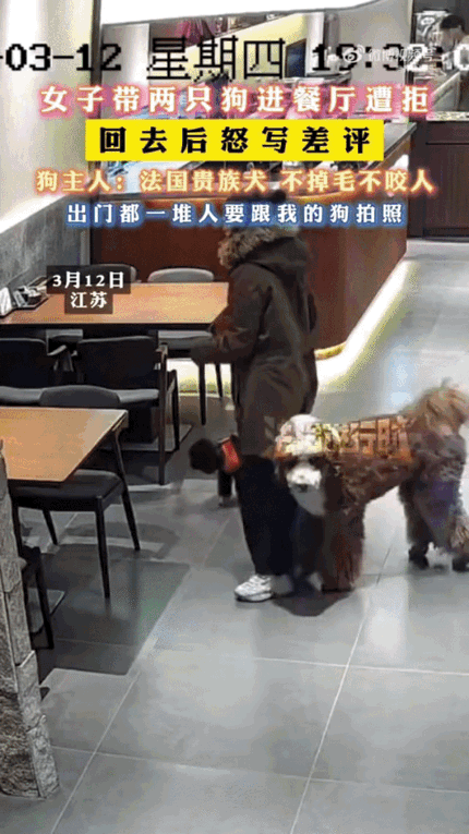 江苏一位女士，遛着两条狗，大的小的都没戴嘴套，看见一家新开的汤饭店，直接牵着就进