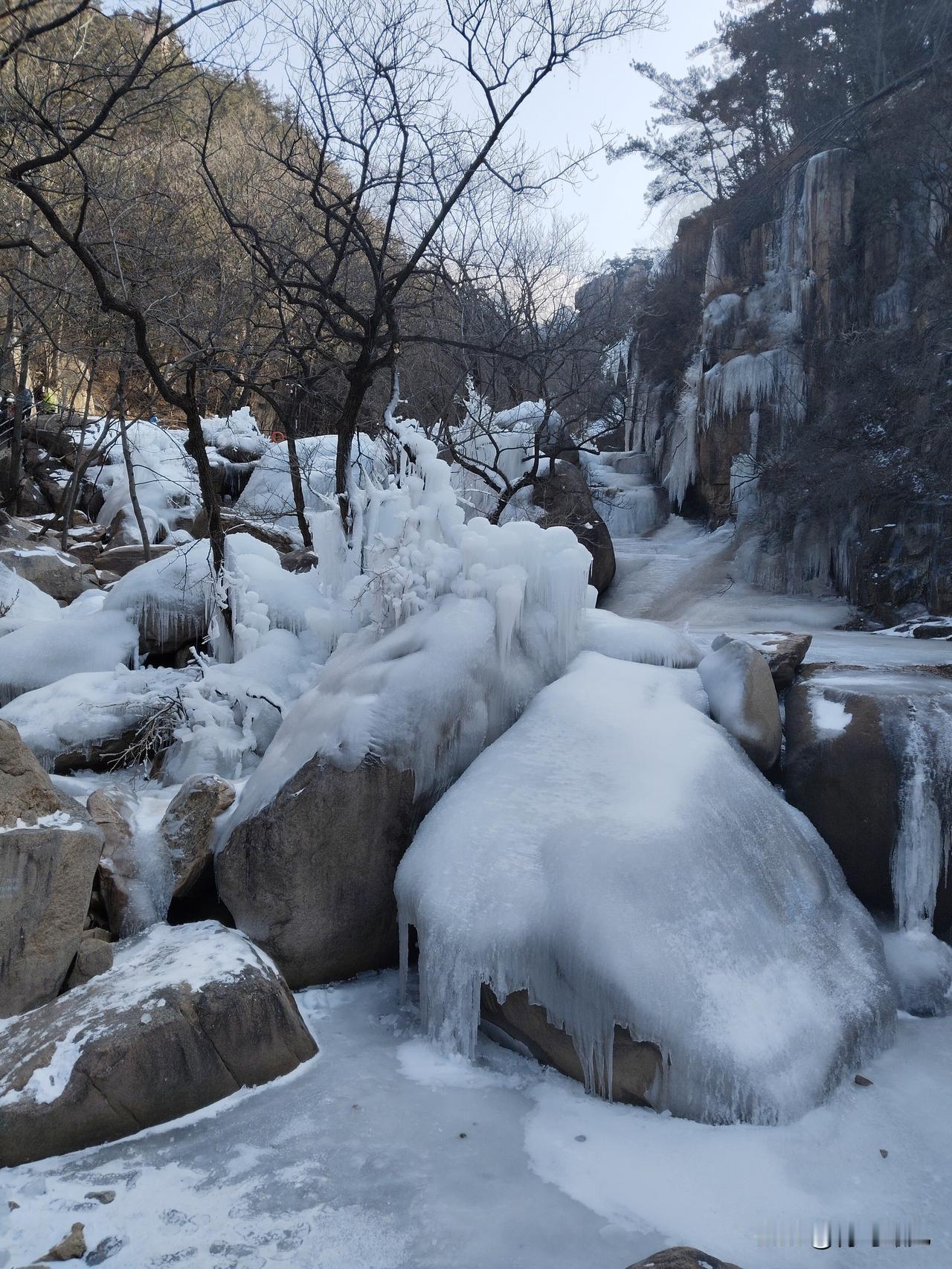 崂山冬日奇观，怎一个“美”字可以形容，带娃可以感受冰瀑！崂山北九水，绝对是崂