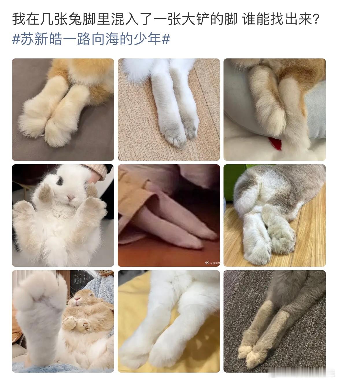 卧槽啊烙铁这你扯不扯啊