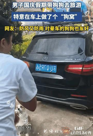 国庆出游，一名男子带着自家狗狗自驾旅行。为了让狗子坐车更舒服，他直接在车上自制了