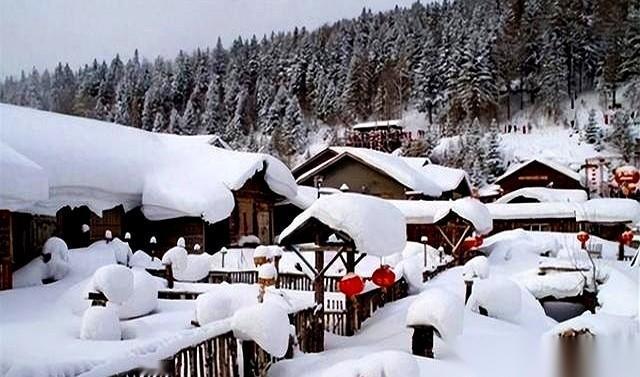 60年一遇的怪事，今天开始了。今天1月17号，四九第一天。但整个四九，竟然全都